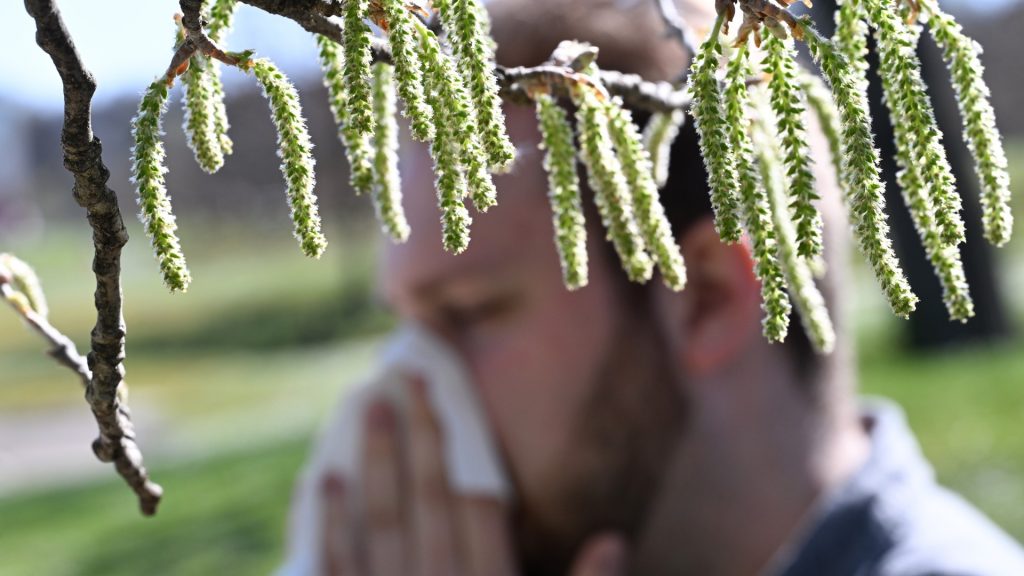 Climate change leads to worsening seasonal allergies … and maybe even more suicides