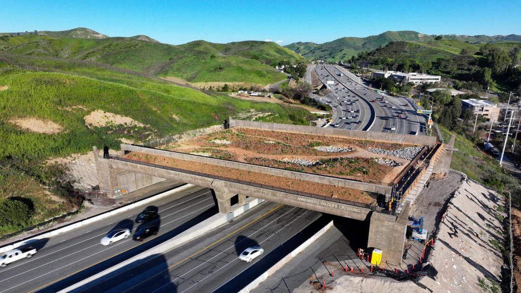 California wildlife crossing is latest in over-budget, overdue public projects