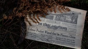 She tried to preserve military newspaper’s editorial independence. Now she’s losing her job