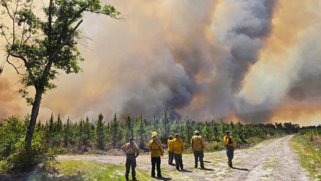 Wildfires overrun parts of Georgia and Florida as drought worsens