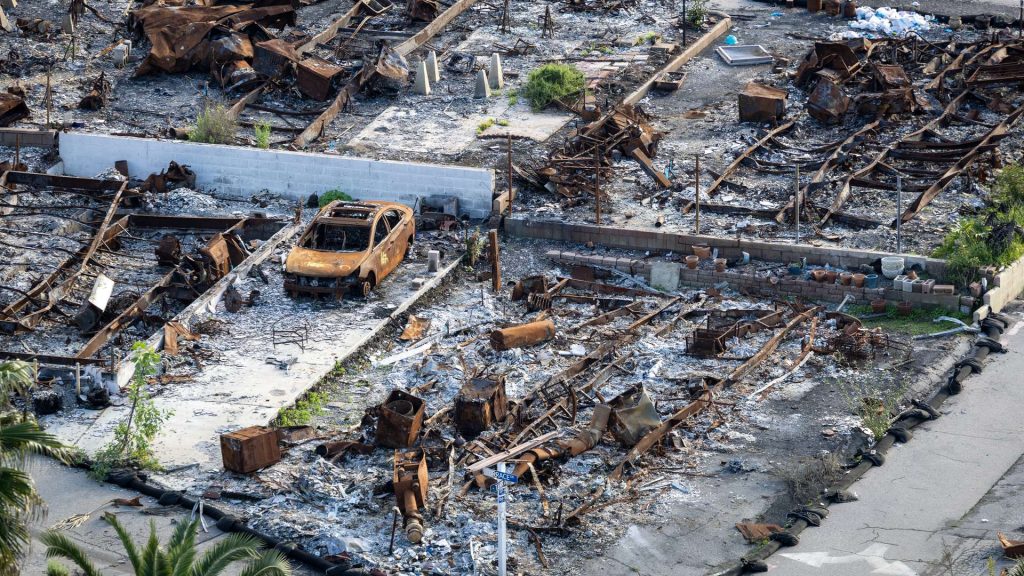 Trump criticizes State Farm over California wildfire insurance delays