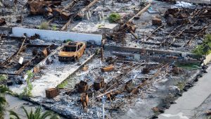 Trump criticizes State Farm over California wildfire insurance delays