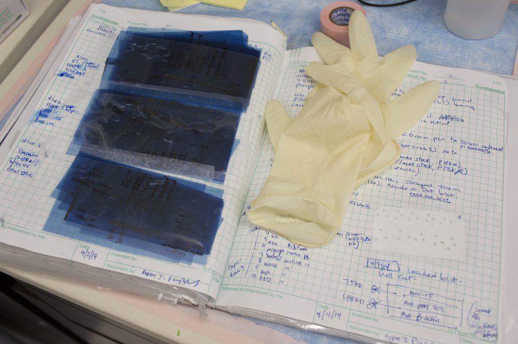 Scientists measuring microplastics may be corrupting data inside their own labs