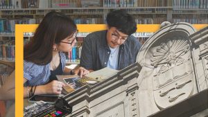 The slow decay of the American library