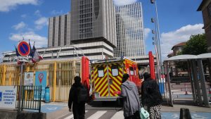 Hantavirus outbreak grows to 11 as French woman becomes critically ill