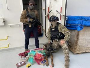 Massive cocaine bust at Port of Los Angeles amid shifting trafficking patterns