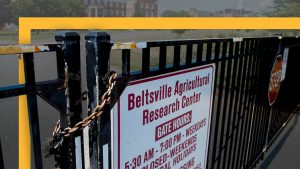 The hidden cost of dwindling agricultural research