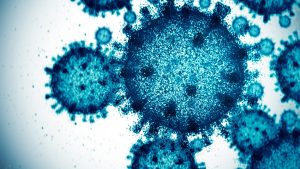 Does the media report on diseases and outbreaks more, or does social media just make us think so?
