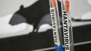 WHO warns of human spread as hantavirus strands cruise ship passengers