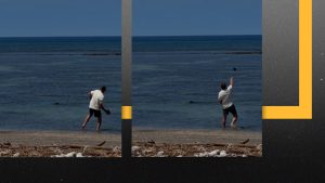 Rock-hurling tourist facing jail time under multiple state and federal endangered species laws