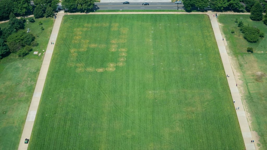 Someone etched ‘86 47’ into the National Mall. Federal agents want answers