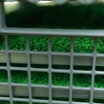 New sterile fly facility opens as screwworm cases prompt heightened response
