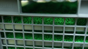 New sterile fly facility opens as screwworm cases prompt heightened response