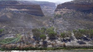 3 firefighters die battling blaze on Utah-Colorado border