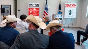 White House and data at odds over who’s to blame for screwworm invasion