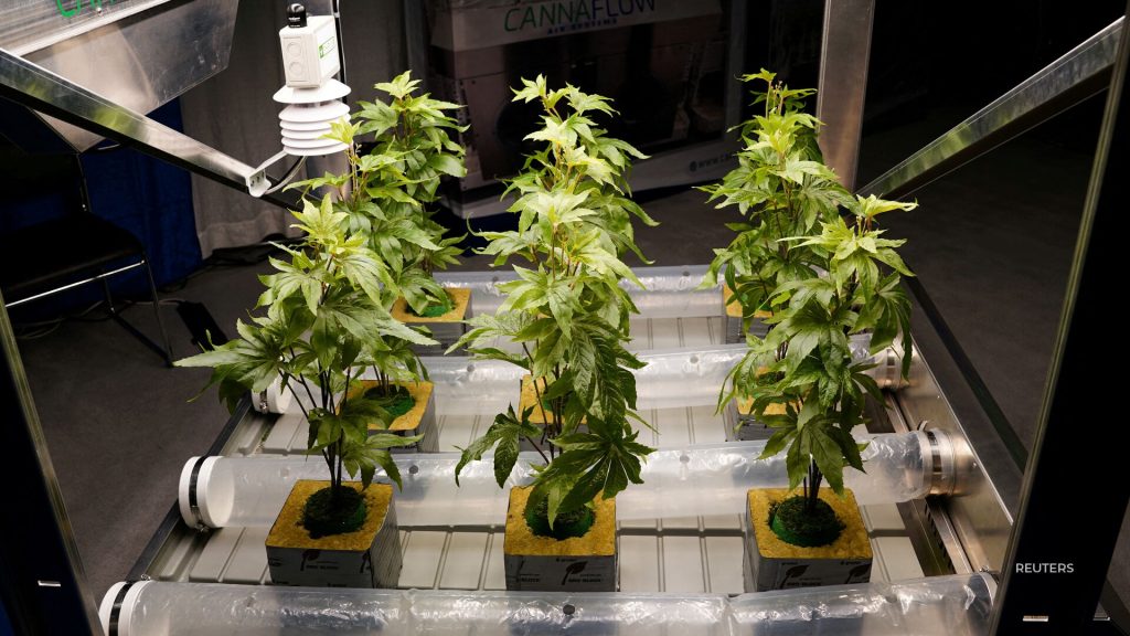 DEA hearing on proposed federal marijuana rescheduling to begin Monday