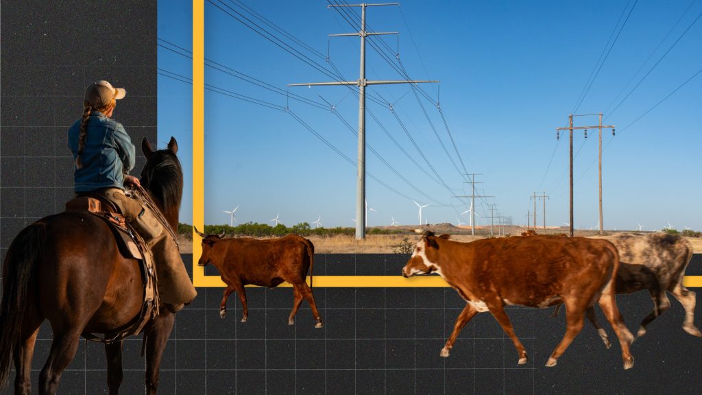 These ranchers heal the land. The power company drew a line through it