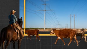 These ranchers heal the land. The power company drew a line through it