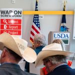 Why an eradicated parasite is back in the American Southwest
