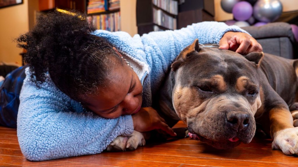More pets go missing on July 4 than any other day. AI might be able to help 