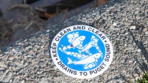 The real danger of drugs in the wastewater isn’t what you’d think