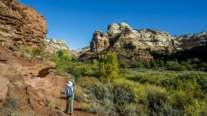 Trump shrinks two Utah national monuments to open more land for mining 