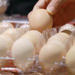 Did rising egg prices seem illegal? Turns out, they were