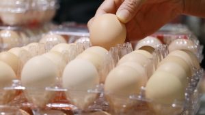 Did rising egg prices seem illegal? Turns out, they were