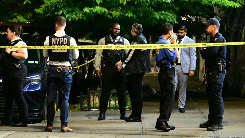 Eight people, including four children, shot at barbecue in Coney Island
