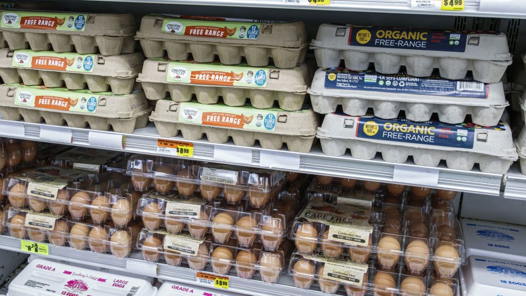 Cyclospora, salmonella outbreaks beg the question: How safe is the nation’s food safety system?