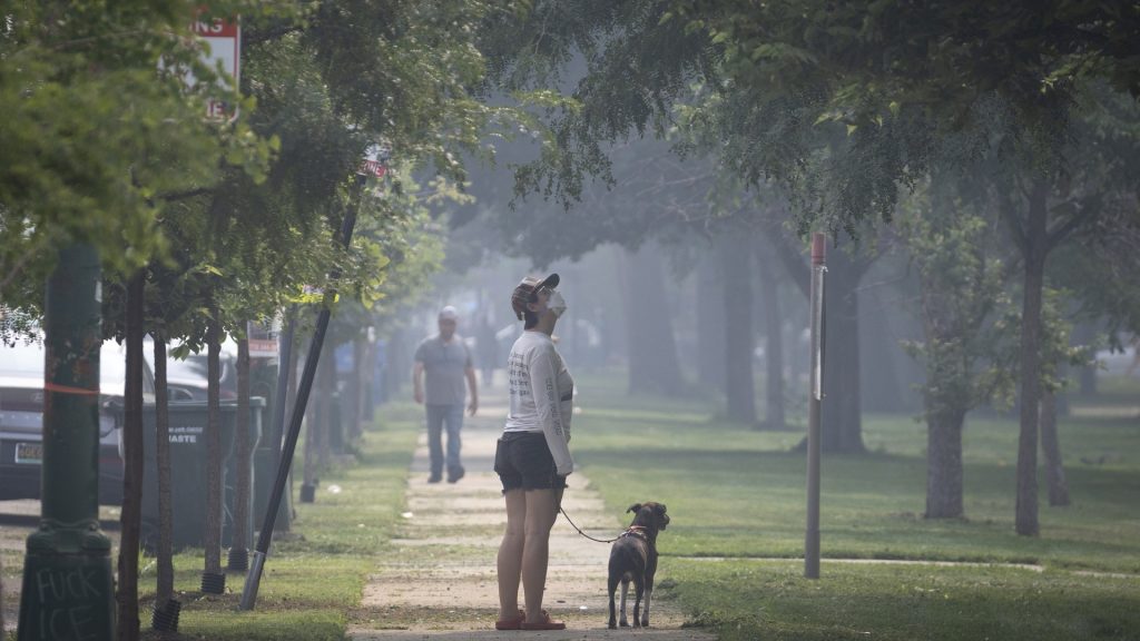 Wildfire smoke can harm more than your lungs. Here’s how to stay safe