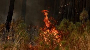 Wildfires test France and Spain as heat warnings return