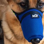 Protecting yourself during the wildfire smoke? Don’t forget your dog.