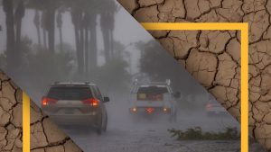 El Niño forecasts have been right so far. Here’s what fall and winter could bring.