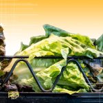 Lettuce eat again — but check your fridge first