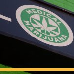 Study raises new questions about medical cannabis and workplace attendance