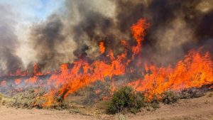 As wildfires burn across the West, crews progress around hard-hit Spokane 