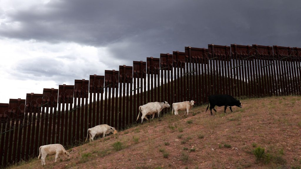 Arizona cattle port reopens days after screwworm hits neighboring Sonora