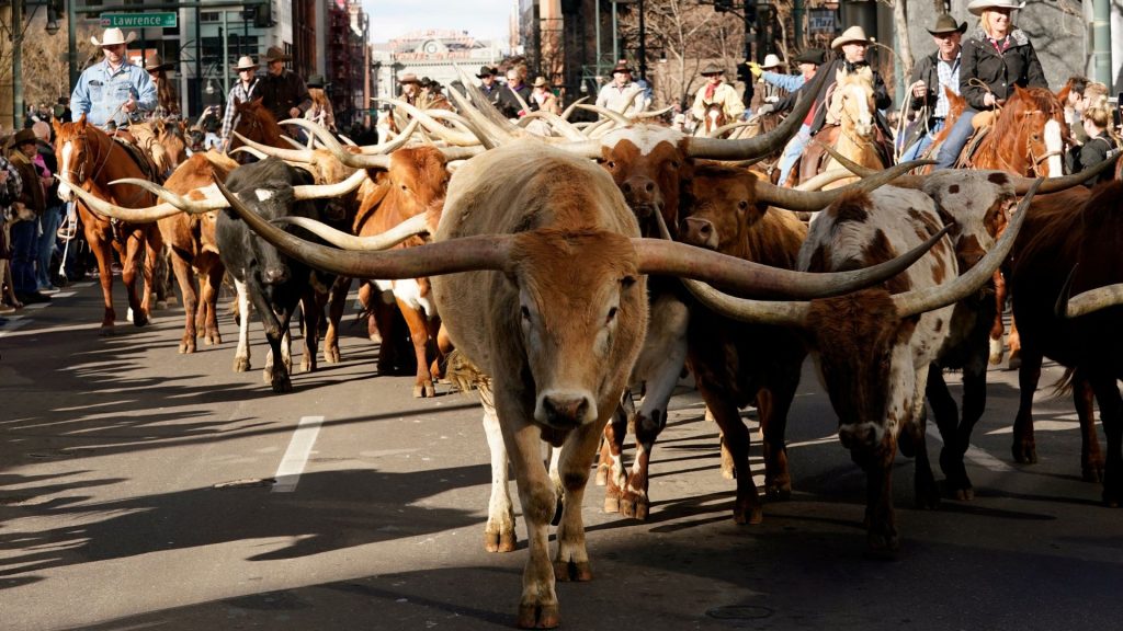Viral post claims Trump is buying contaminated beef. Here’s what we found