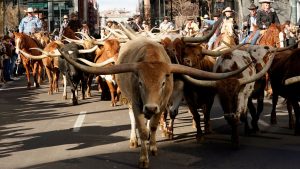 Viral post claims Trump is buying contaminated beef. Here’s what we found