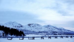 White House looks to pull red tape to speed up Alaska oil drilling