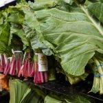 From guacamole to jalapeños, here’s how 2026 food illness outbreaks compare to other years