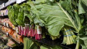 From guacamole to jalapeños, here’s how 2026 food illness outbreaks compare to other years
