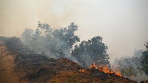 Firefighter entrapments are at a two-decade high for this point in the year