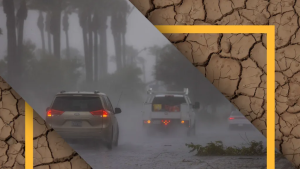 Mega El Niño could drive up food, insurance and tourism costs