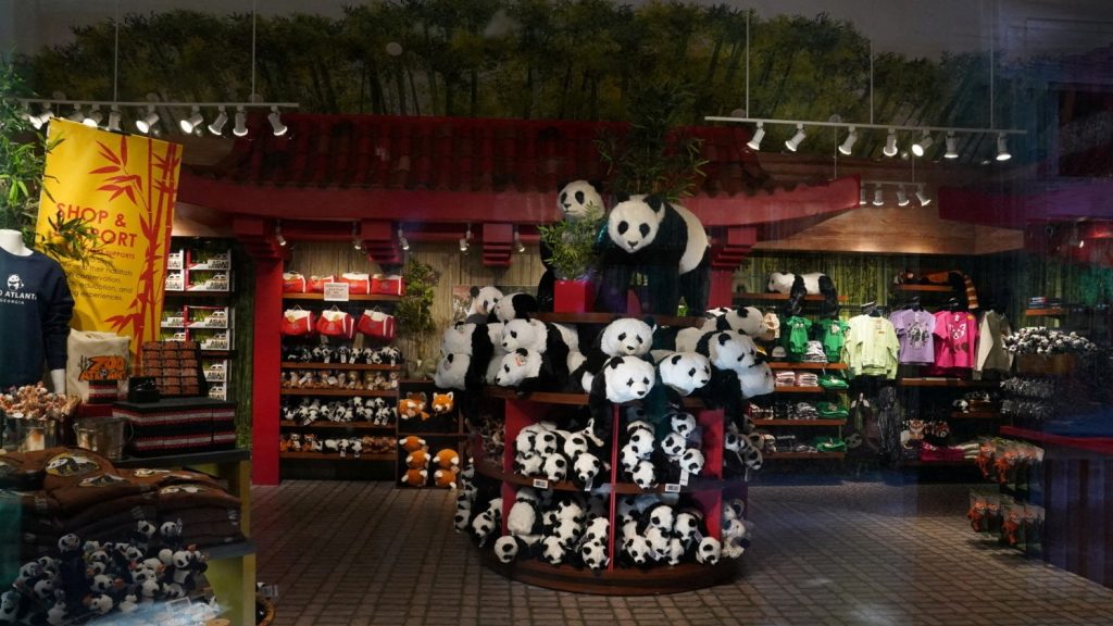 Giant pandas arrive at Zoo Atlanta, renewing conservation partnership