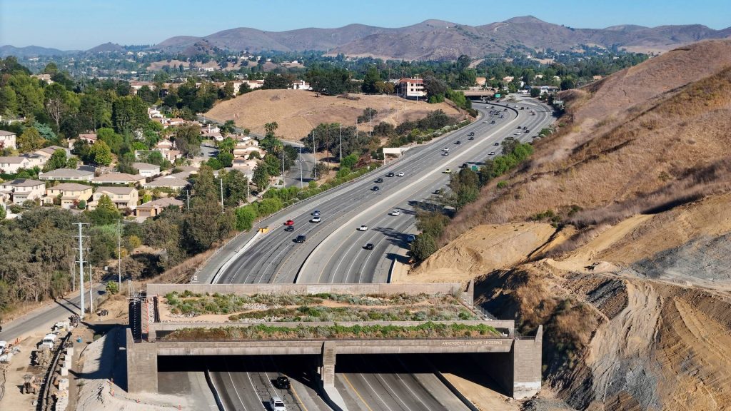 Wildlife crossings are popping up everywhere, but there’s a less sexy measure that’s more important