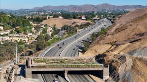 Wildlife crossings are popping up everywhere, but there’s a less sexy measure that’s more important