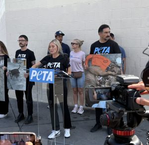 Despite not protecting Skid Row dogs, some animal advocates still prefer Bass for reelection