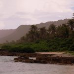 The Air Force disposes of hazardous waste in Guam. The Supreme Court will decide if it can continue